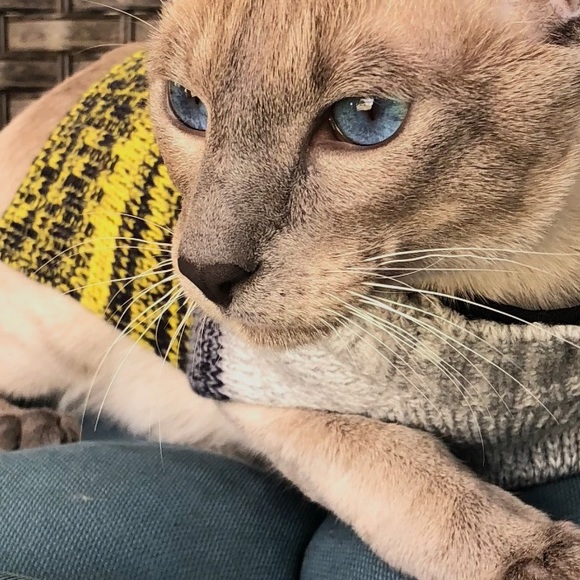 Meet your Posher, Line - Picture 1 of 1